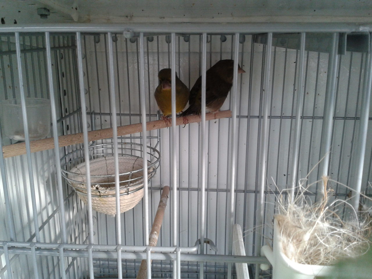 2012-04-14 18.53.00.jpg