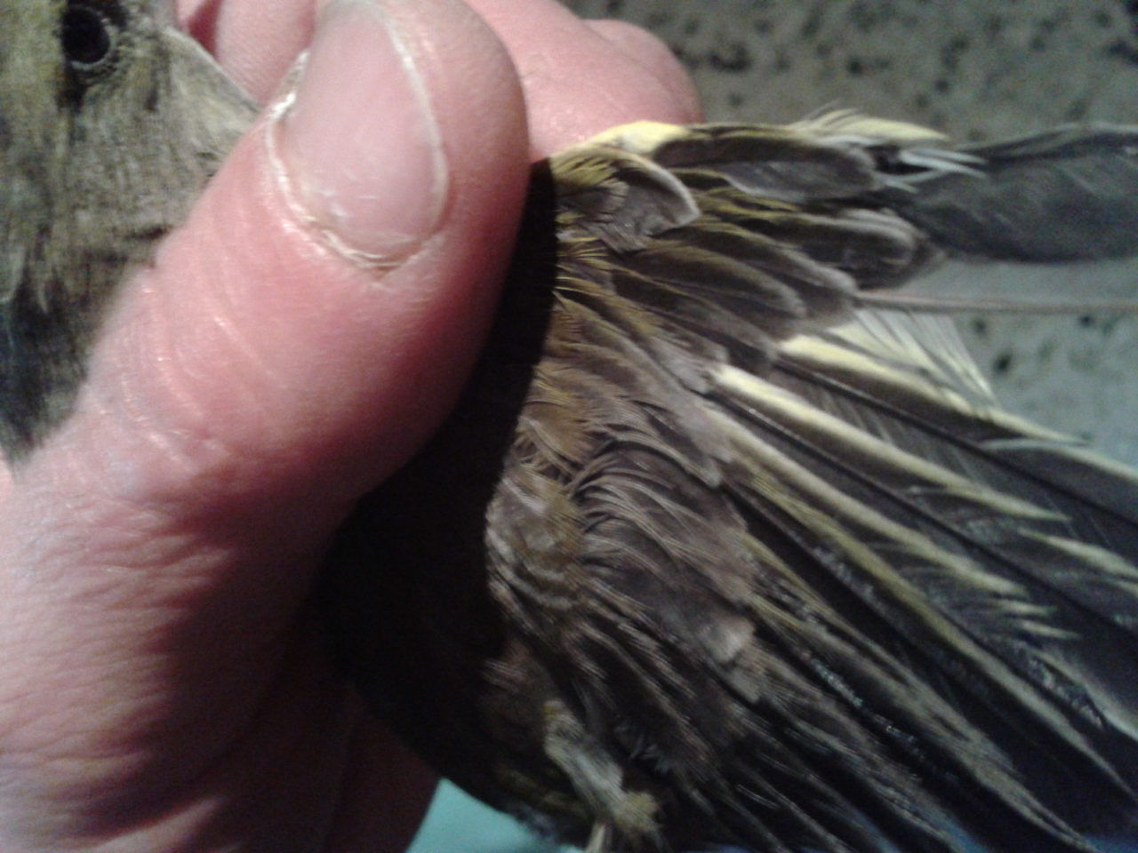 2012-04-14 19.27.21.jpg