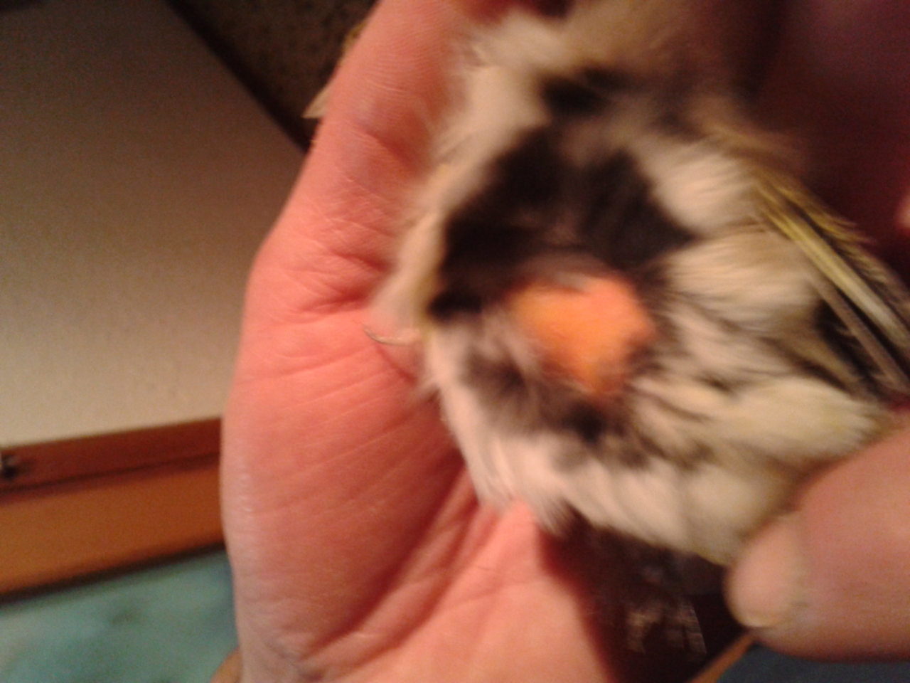 2012-04-14 19.26.53.jpg