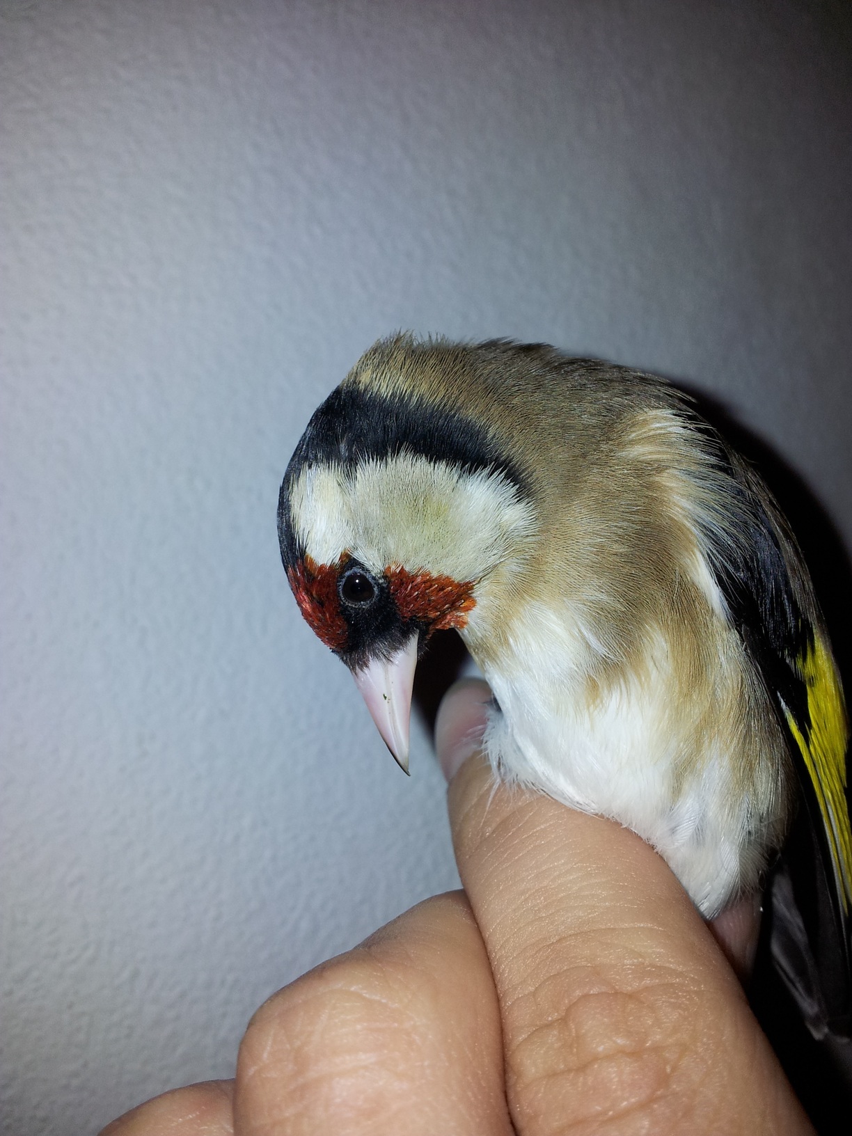 20120415_183939.jpg