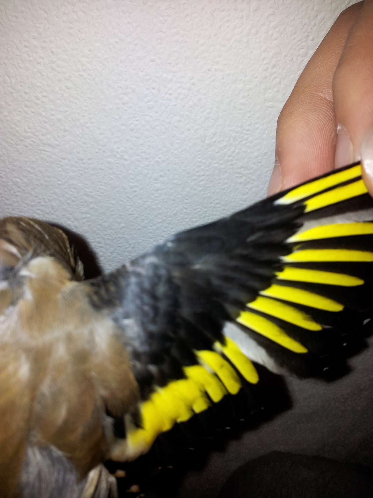 20120415_184005.jpg