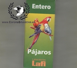 Entl50.jpg