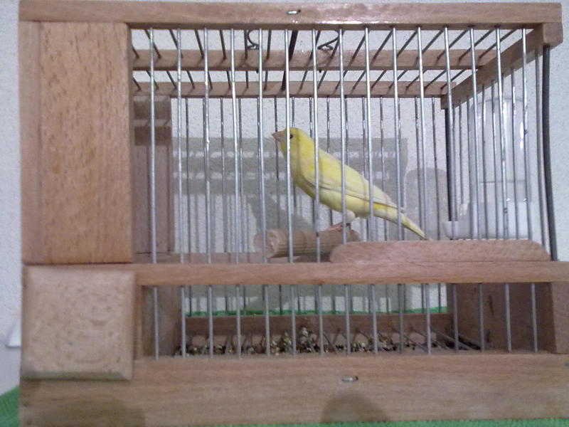 06012011159.jpg