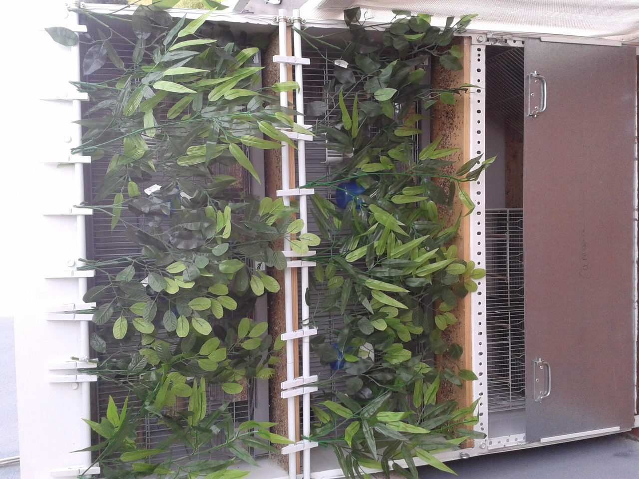 2012-04-18 14.58.11.jpg