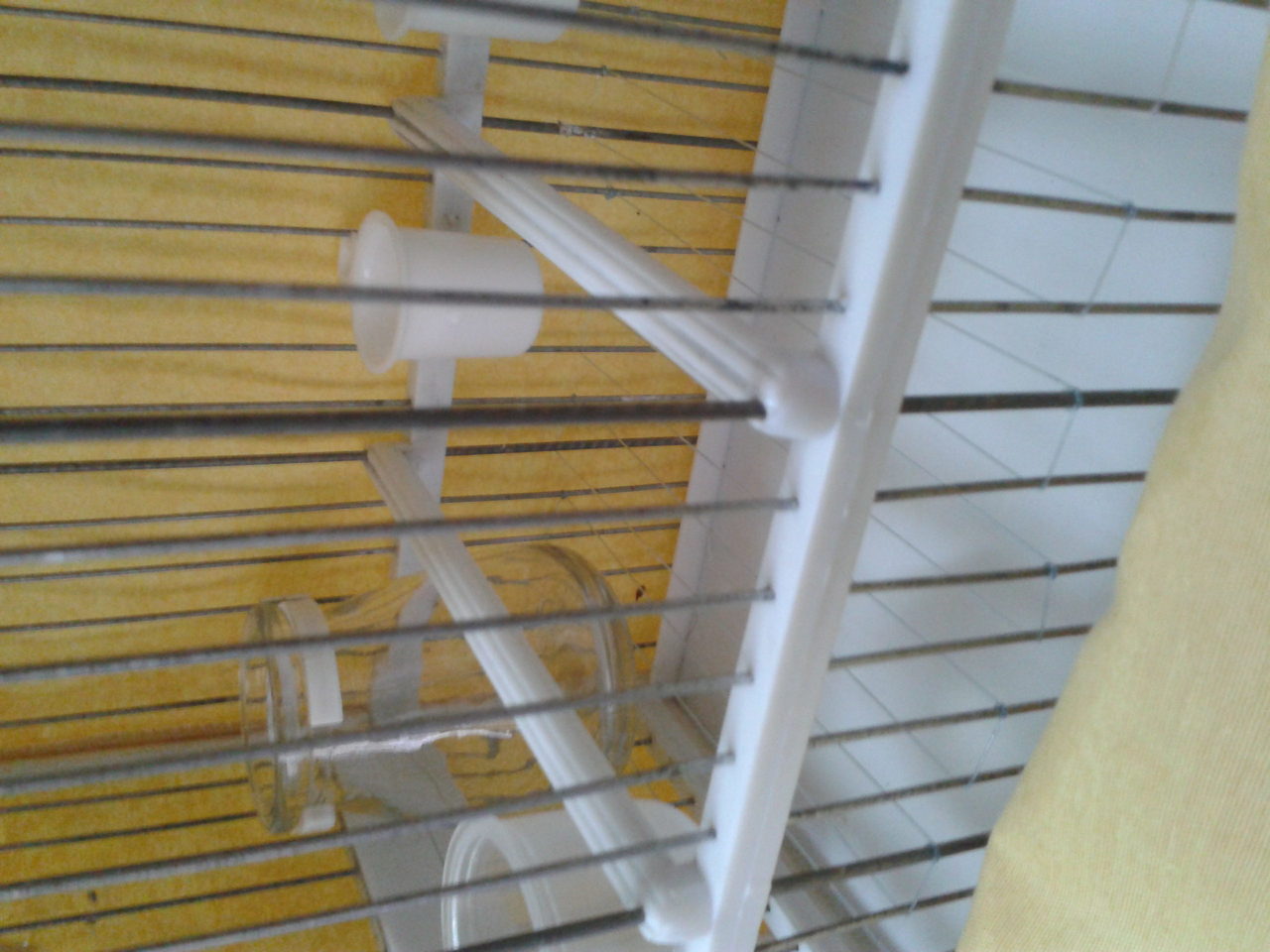 2012-04-25 16.22.09.jpg