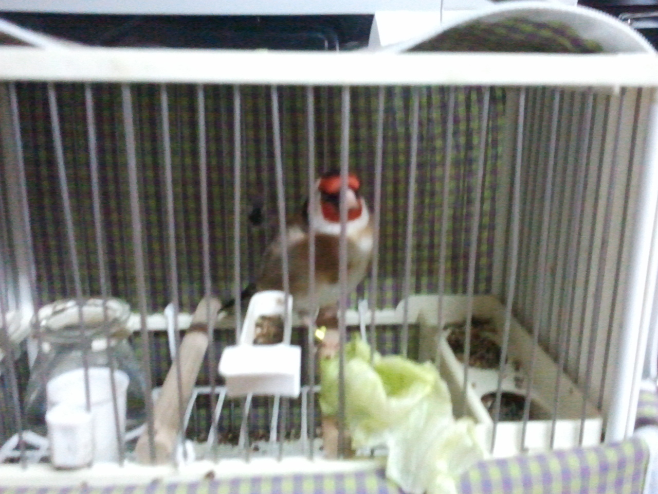 2012-04-25 19.33.00.jpg