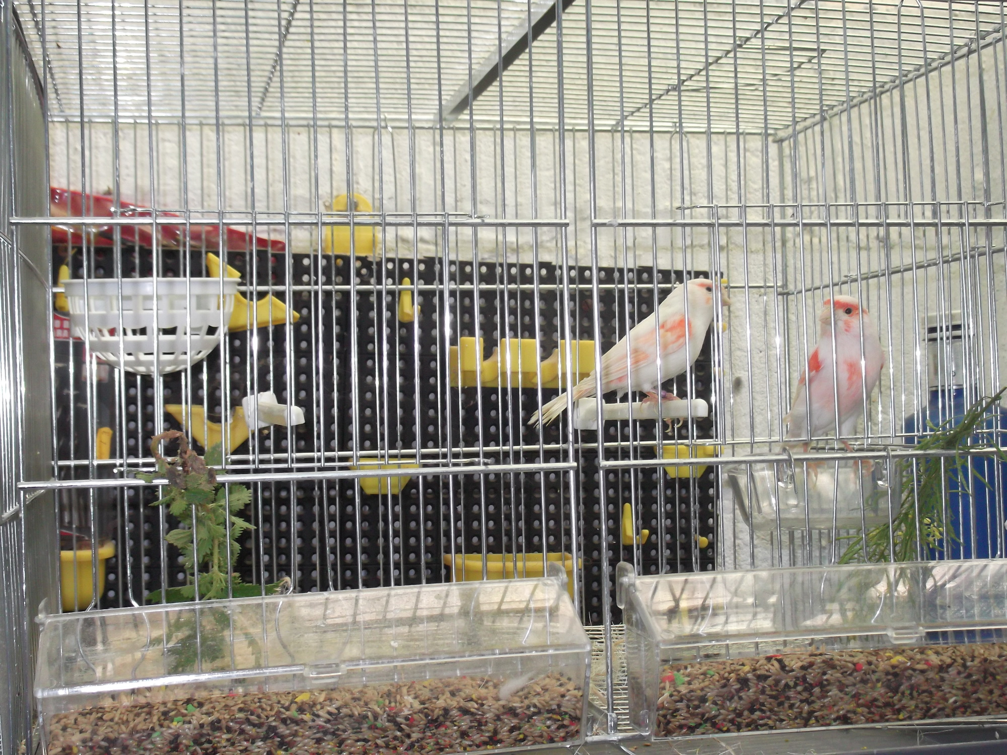 DSCF8073.JPG