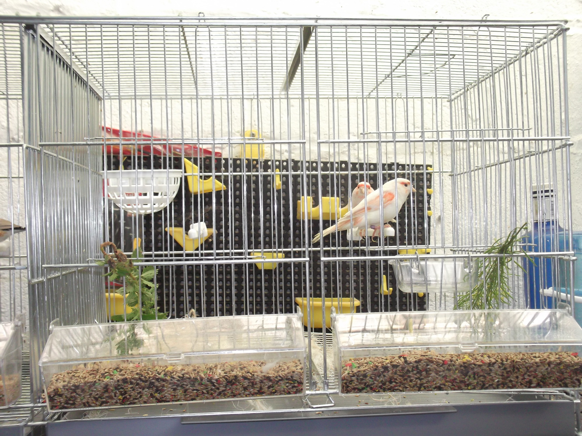 DSCF8072.JPG