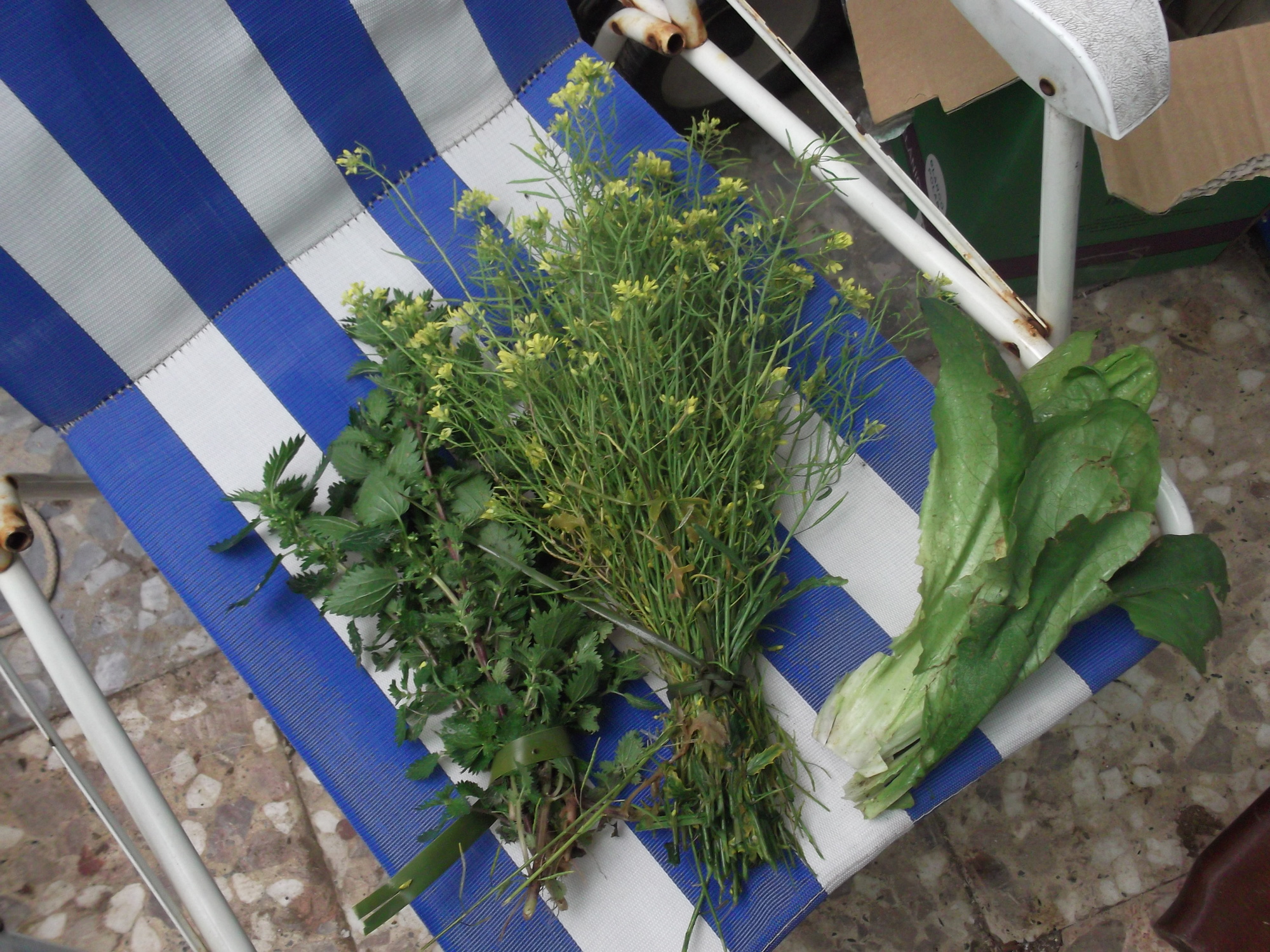 DSCF8081.JPG