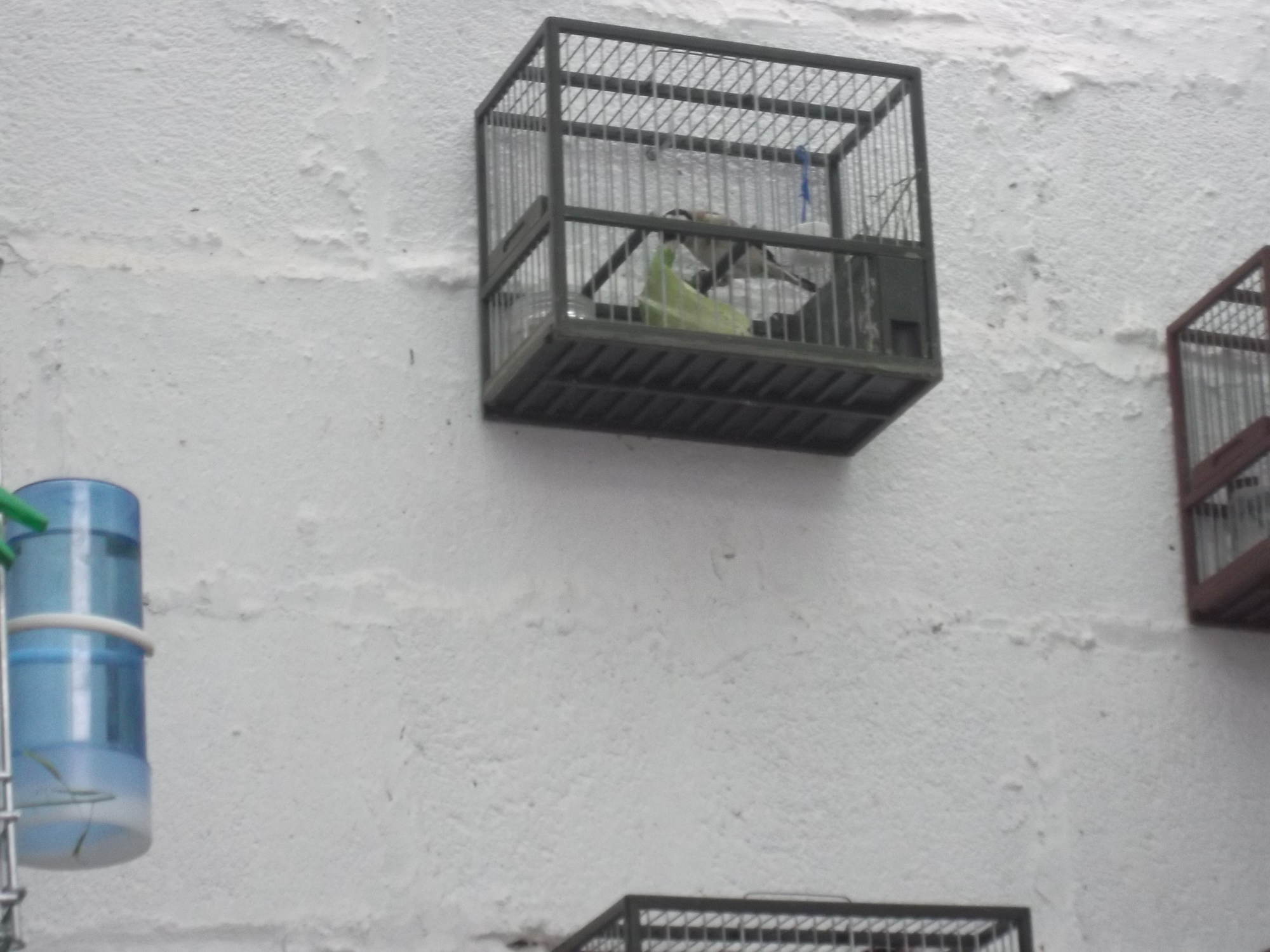 DSCF8085.JPG
