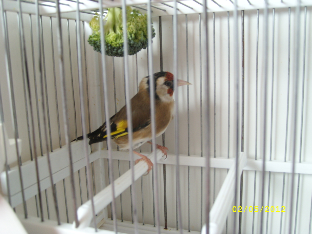SL272029.JPG