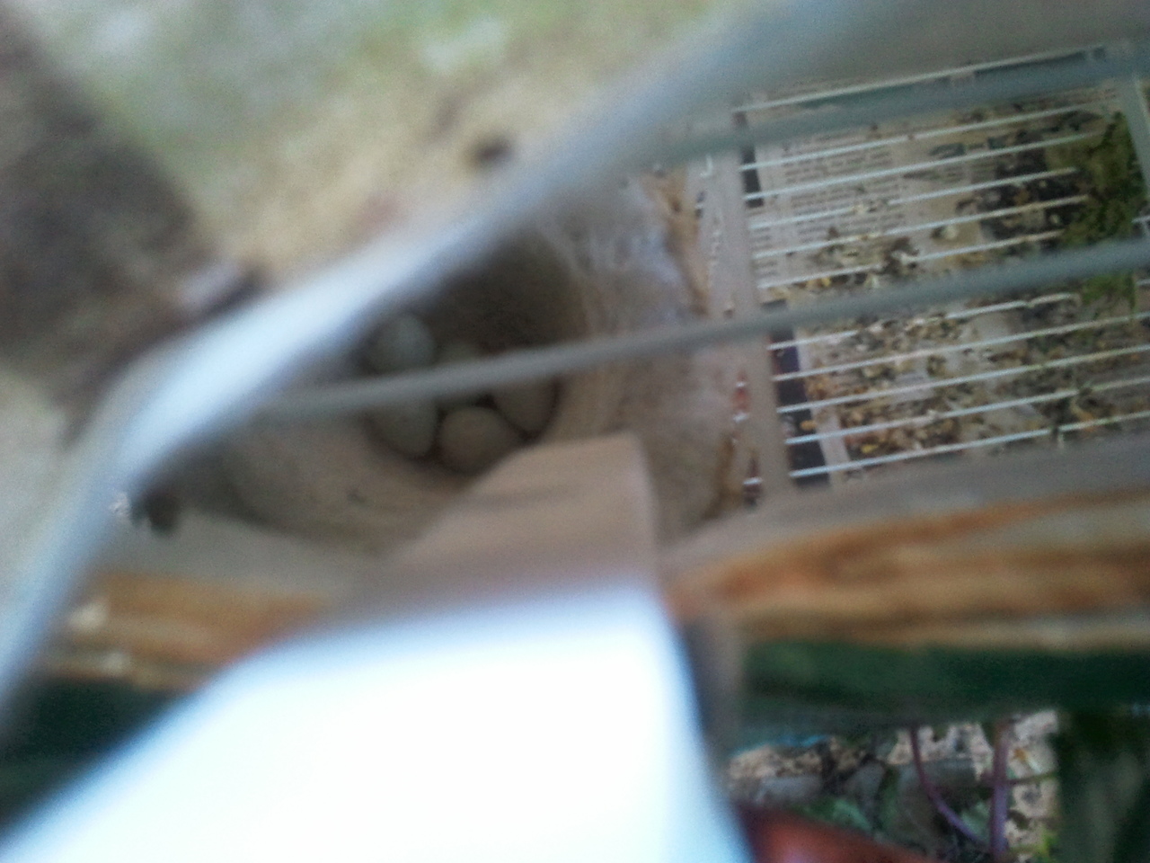 2012-05-02 18.27.42.jpg