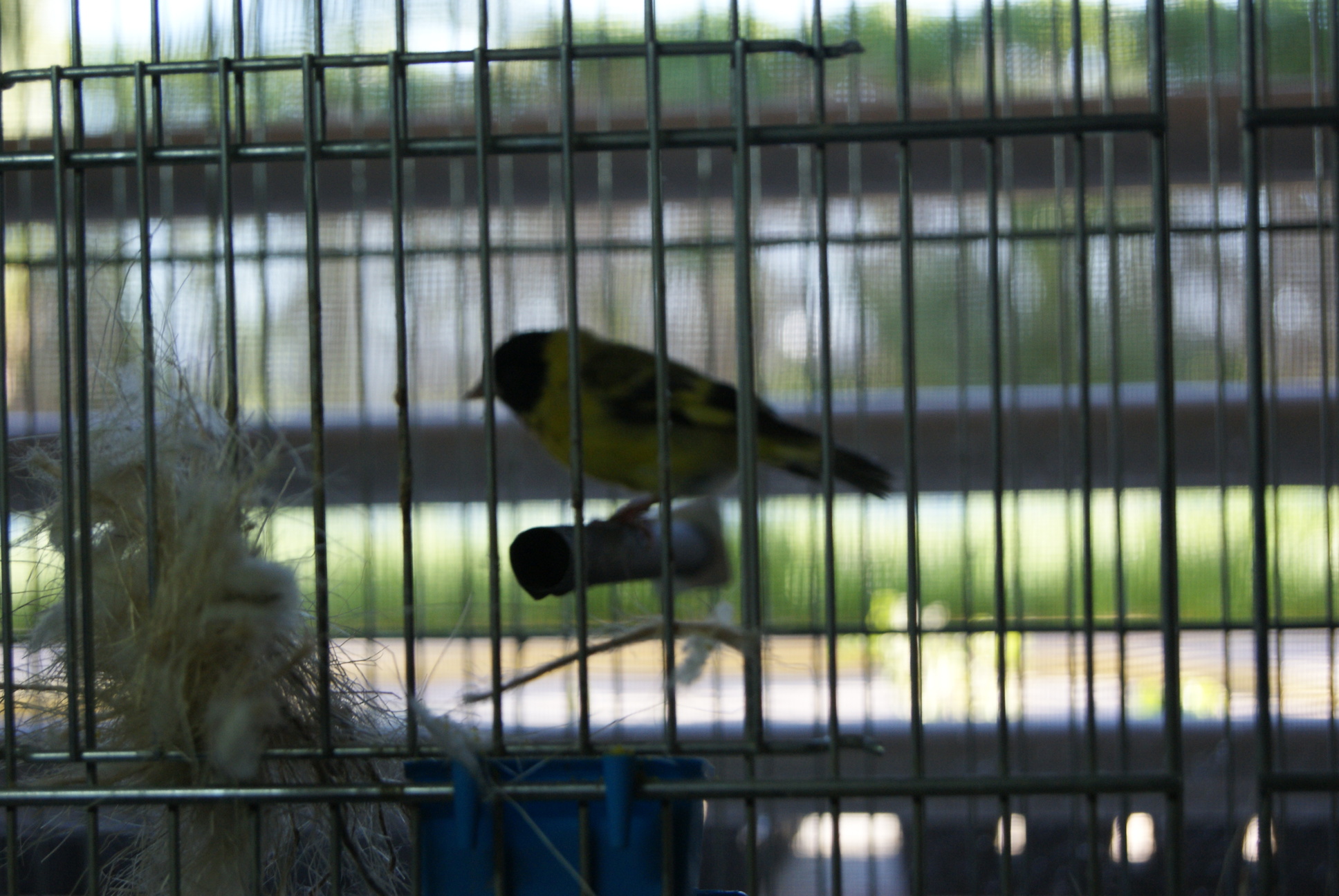 DSC01197.JPG