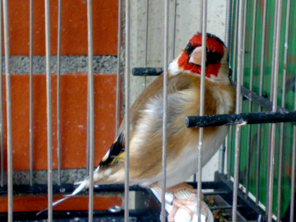 02052012004.jpg