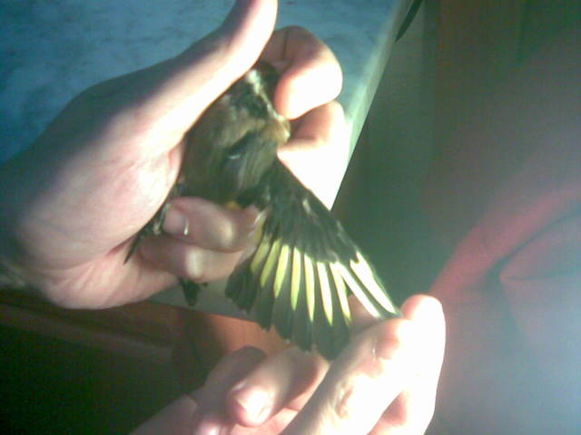 Imagen003.jpg