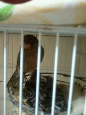 IMG-20120508-WA0000.jpg