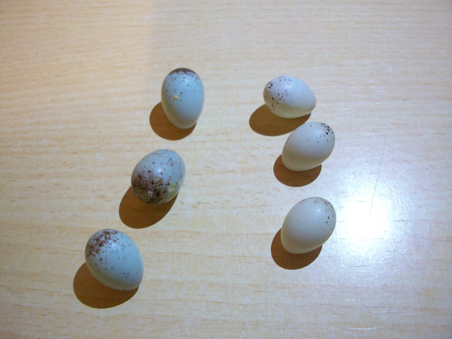 100_1713.JPG