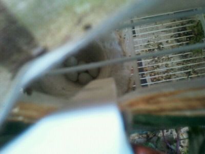 IMG-20120512-WA0001.jpg