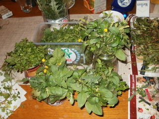 P1030049.JPG
