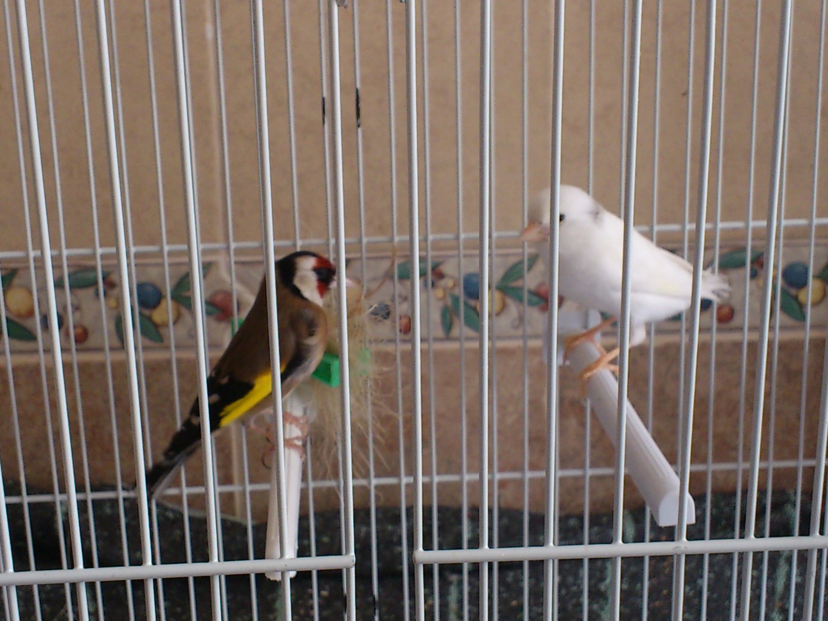 Parejita Feliz.JPG
