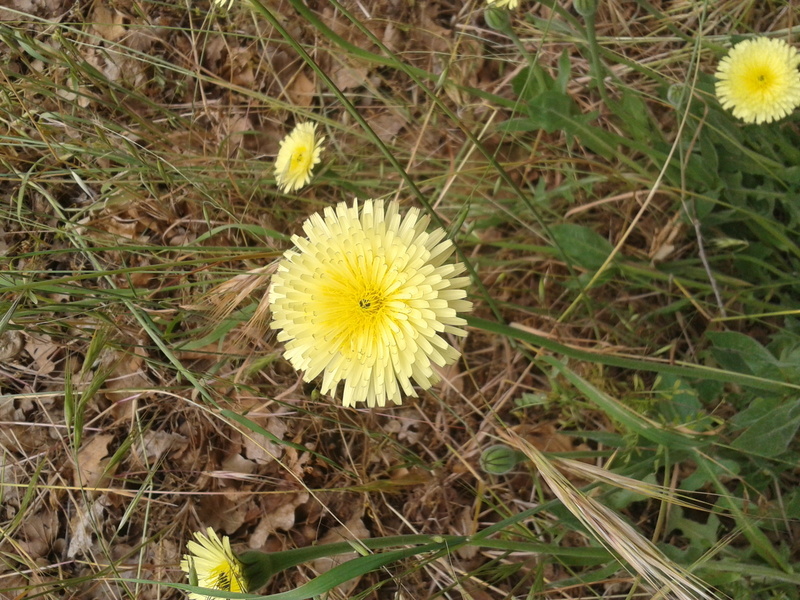 2012-05-15 14.31.17.jpg
