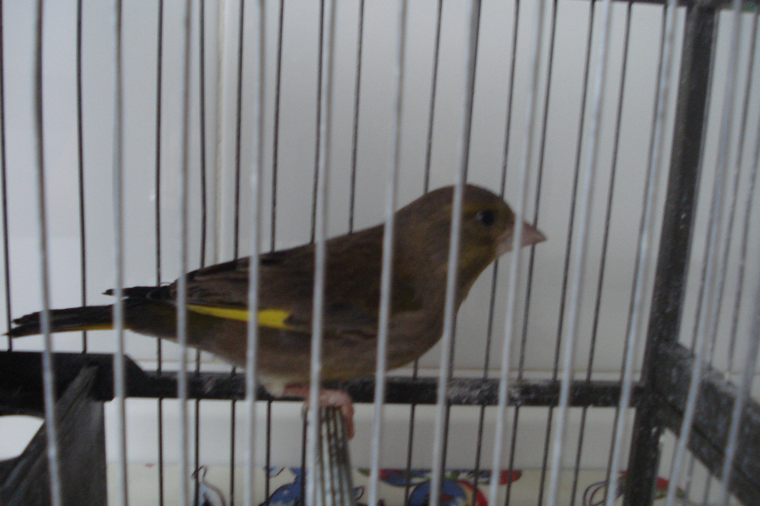 DSC04830.JPG