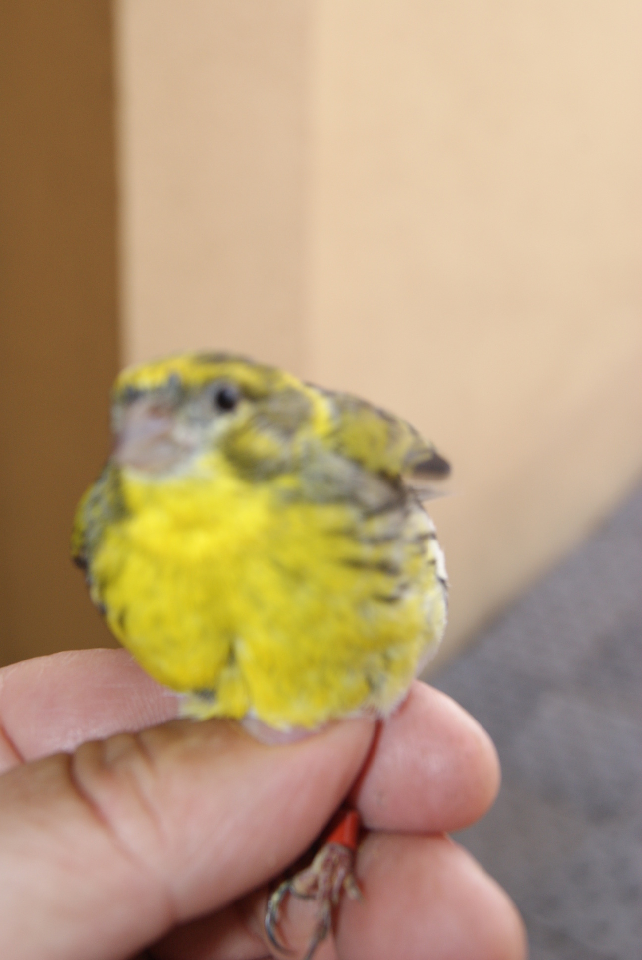 DSC01584.JPG