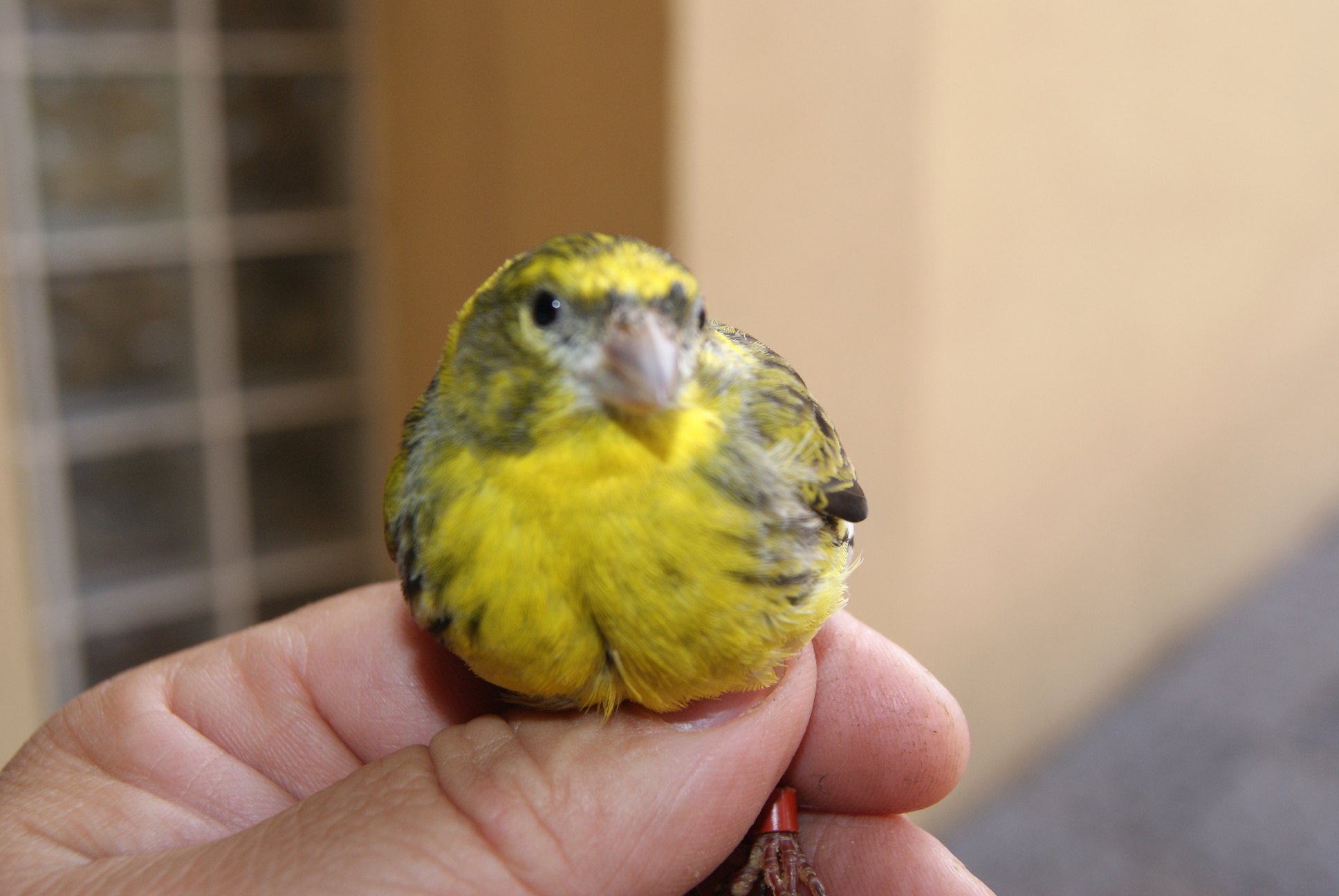 DSC01585.JPG