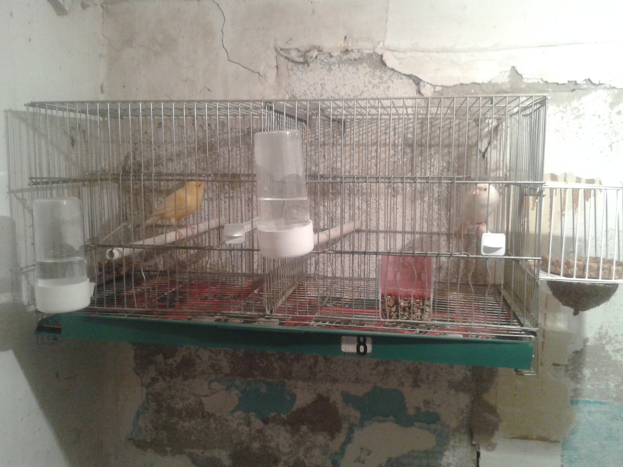 2012-05-19 11.24.07.jpg