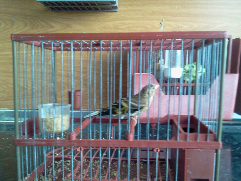2012-05-19 17.53.23.jpg