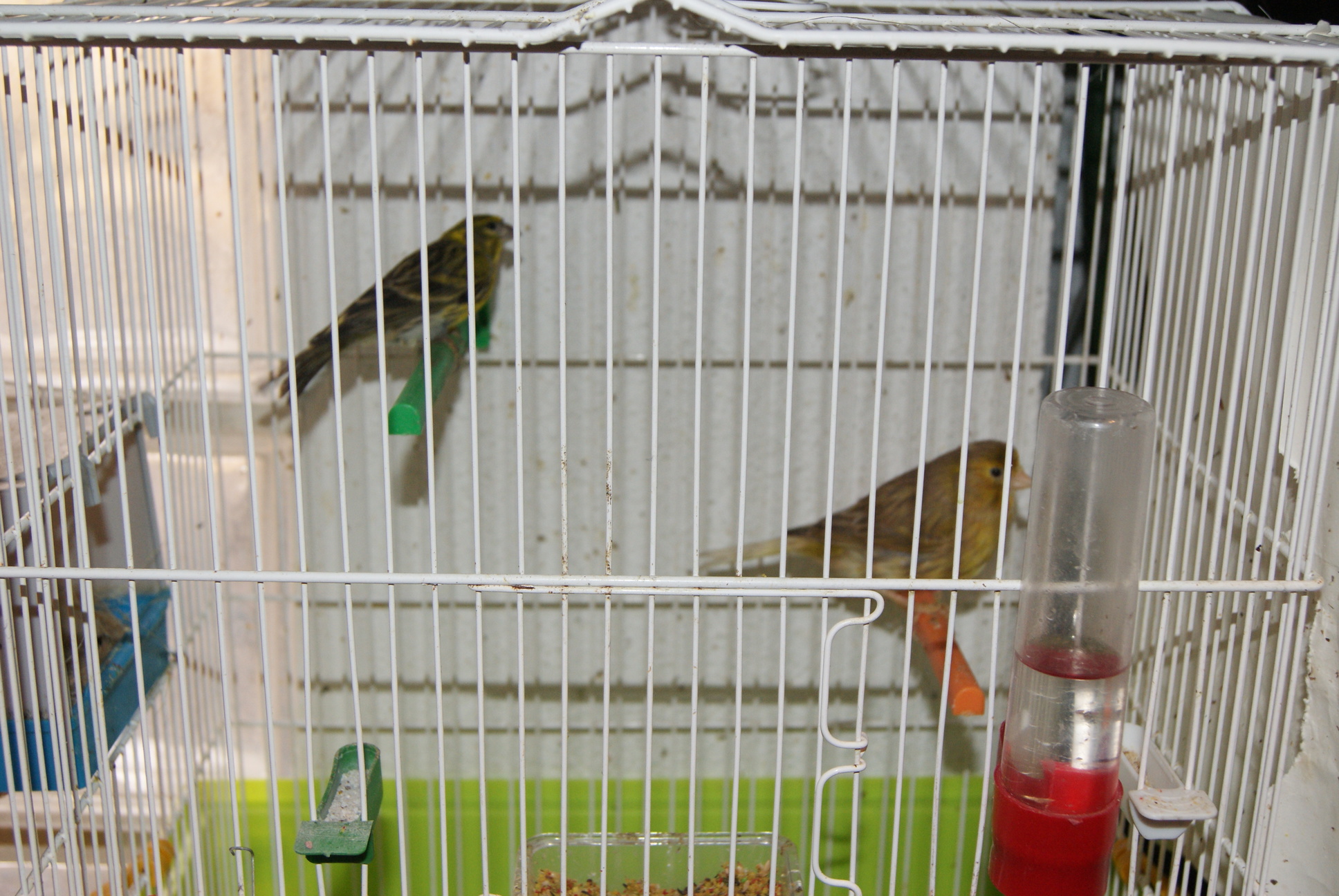 DSC01766.JPG