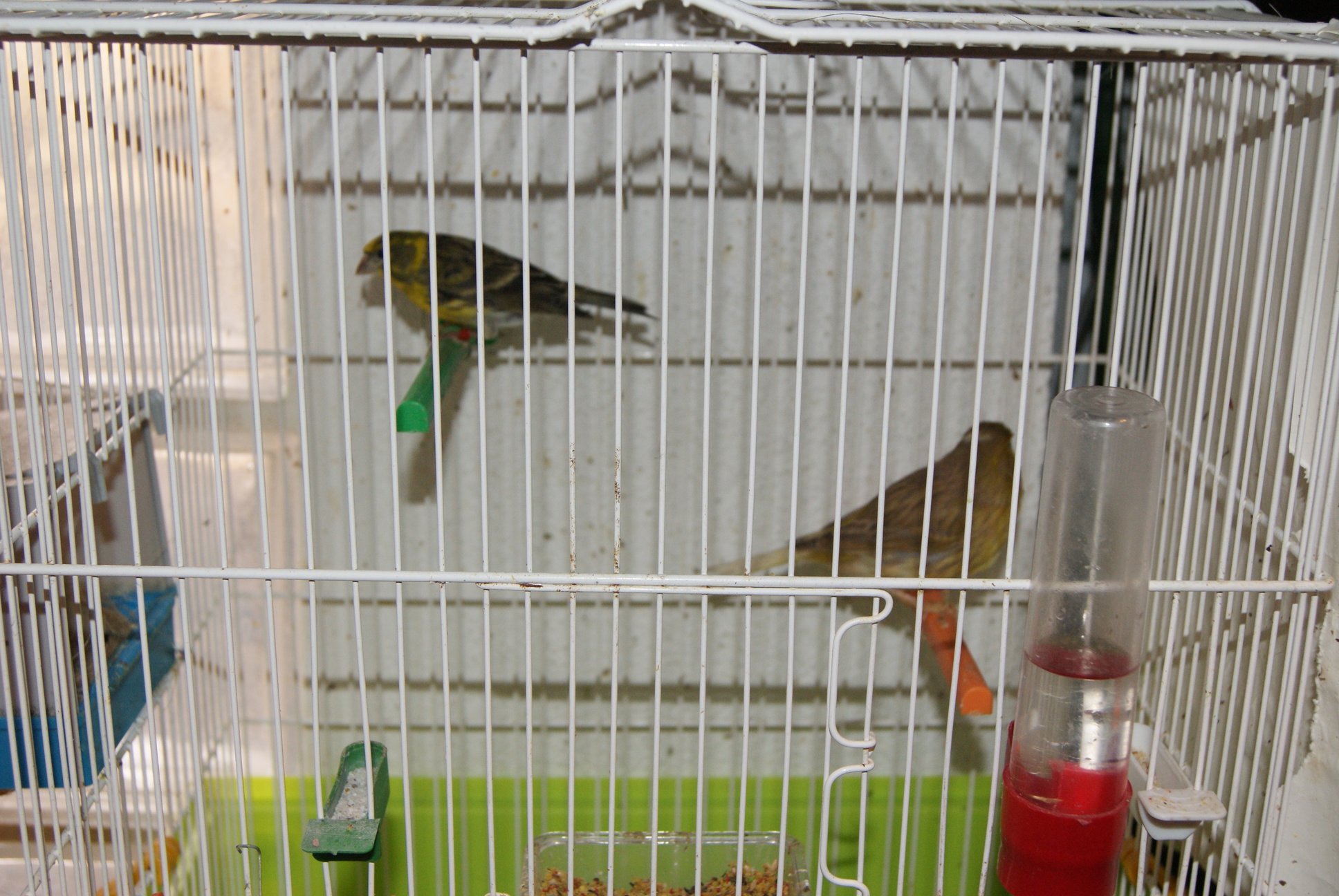 DSC01767.JPG