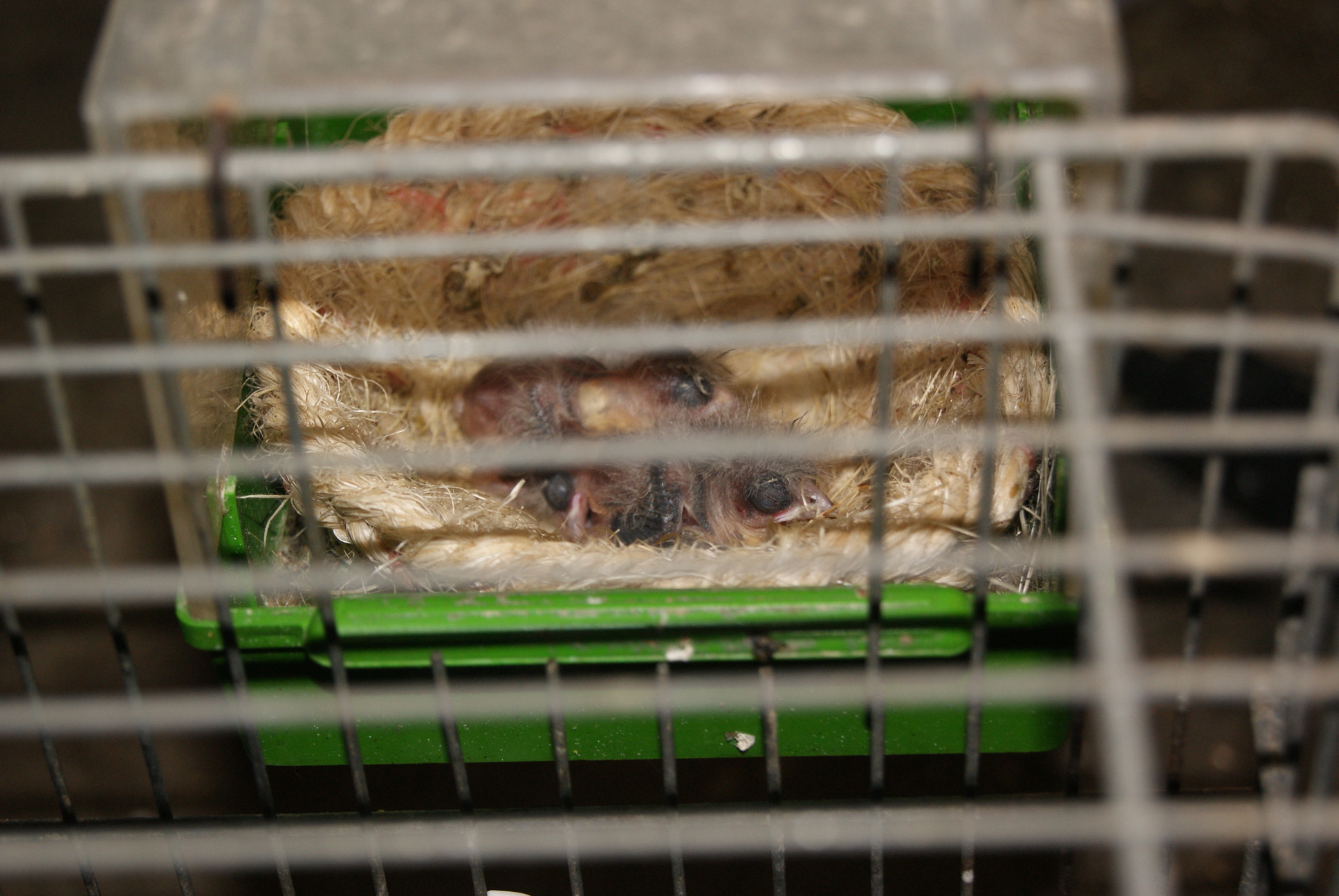 DSC01782.JPG