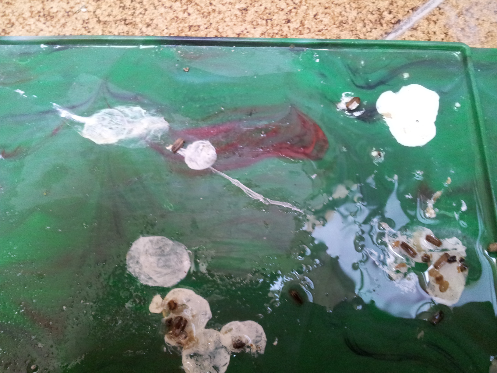 2012-05-17 09.50.59.jpg