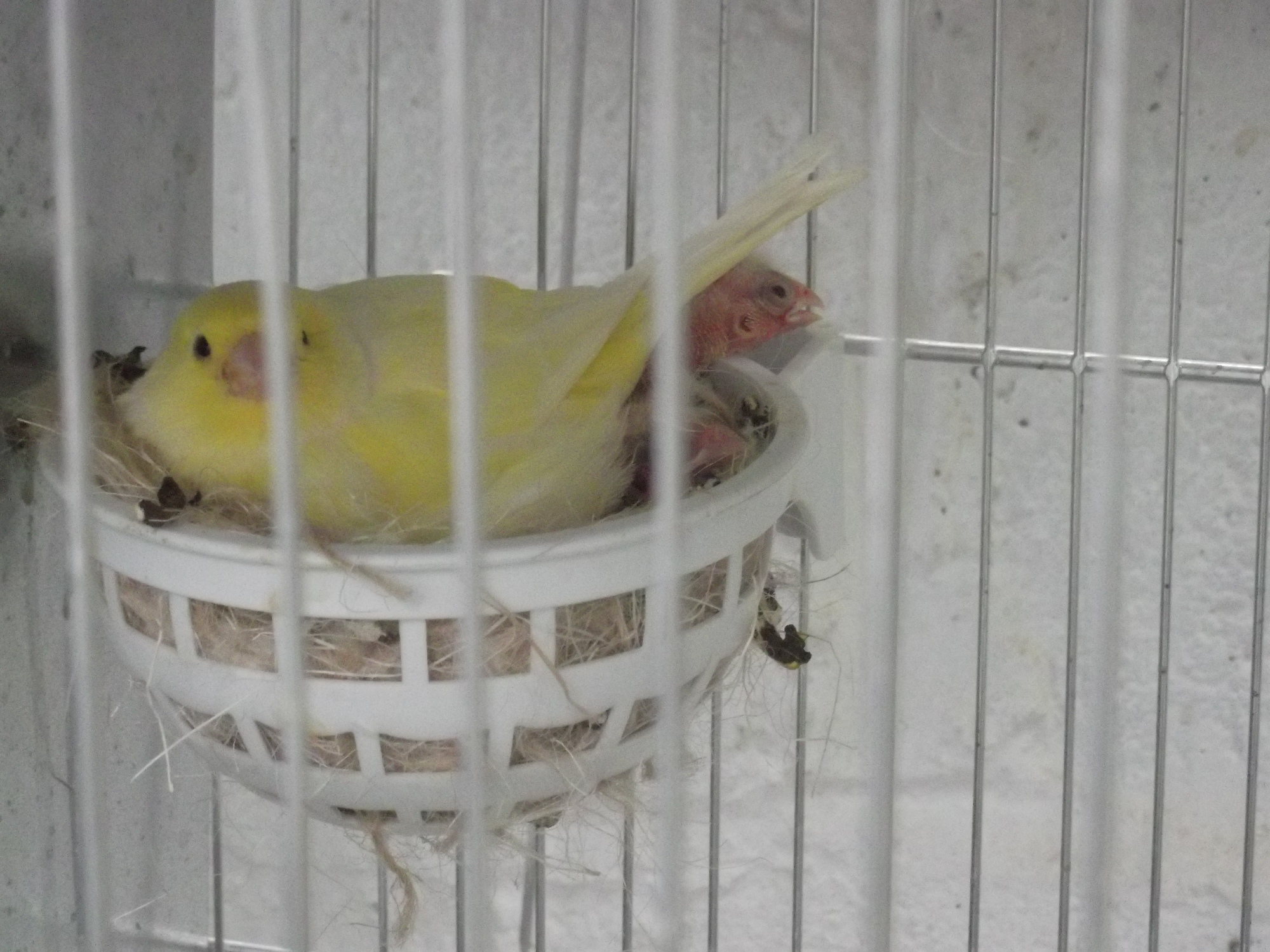 DSCF8128.JPG