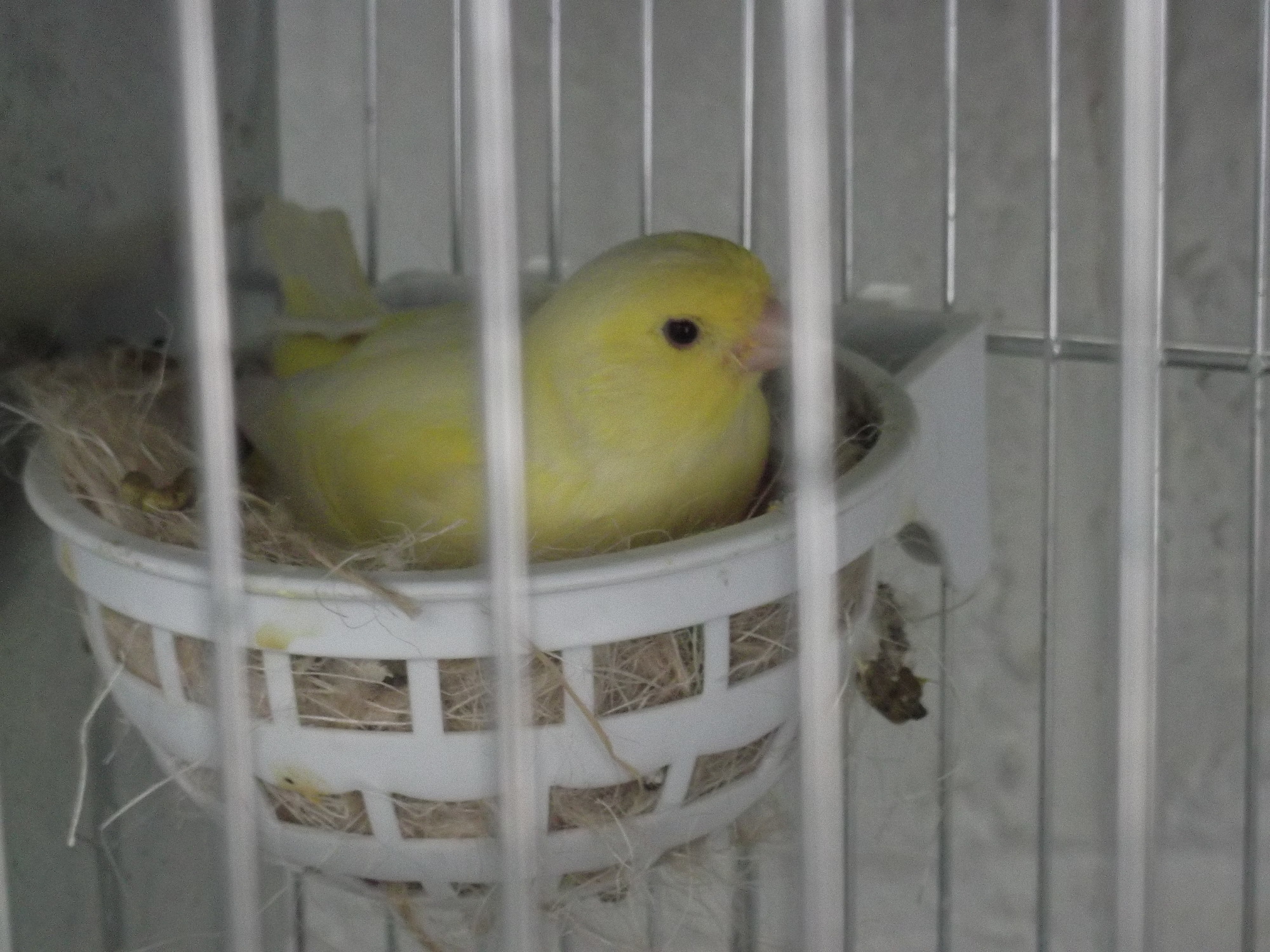 DSCF8118.JPG