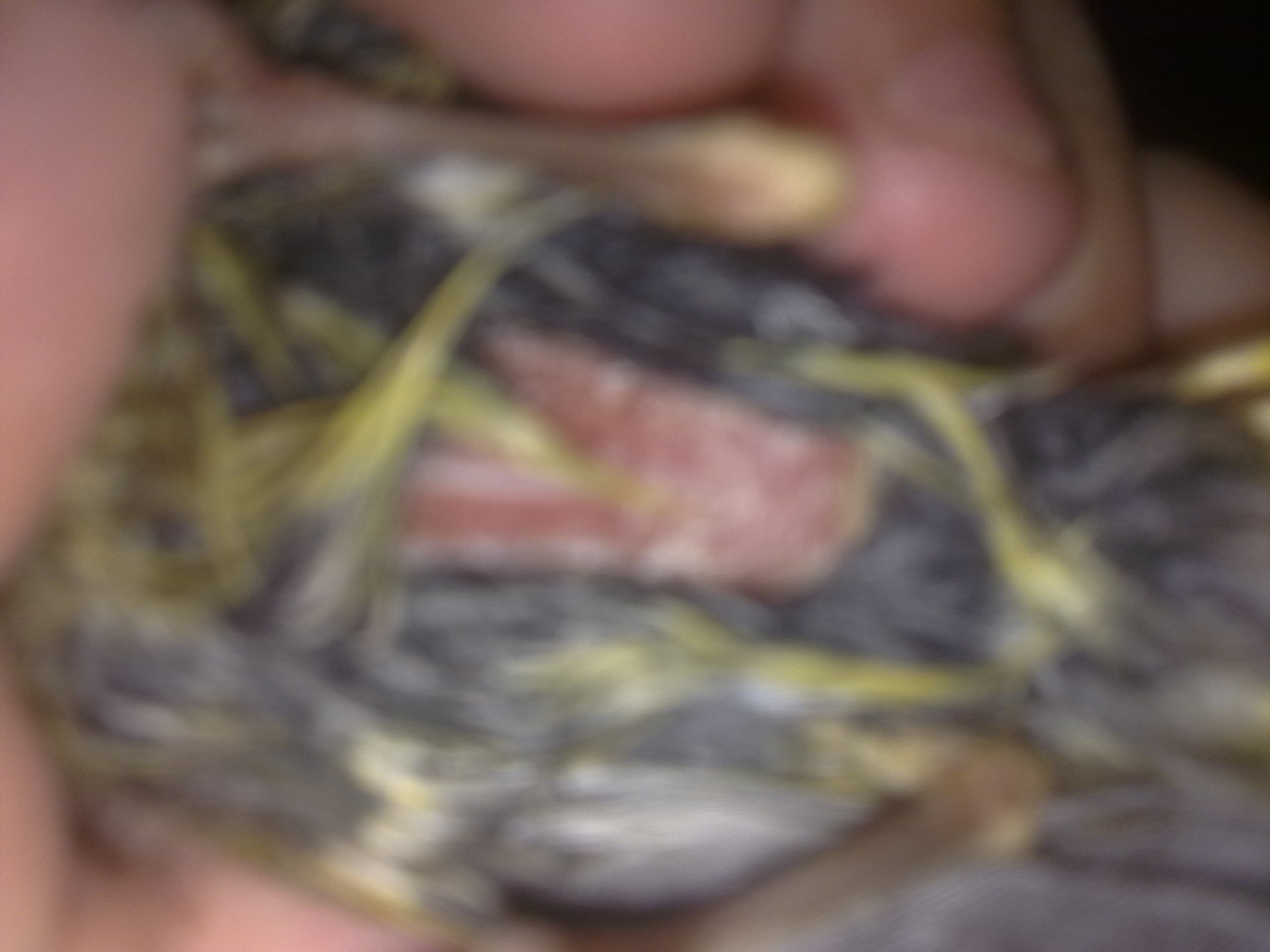 21052012243.jpg