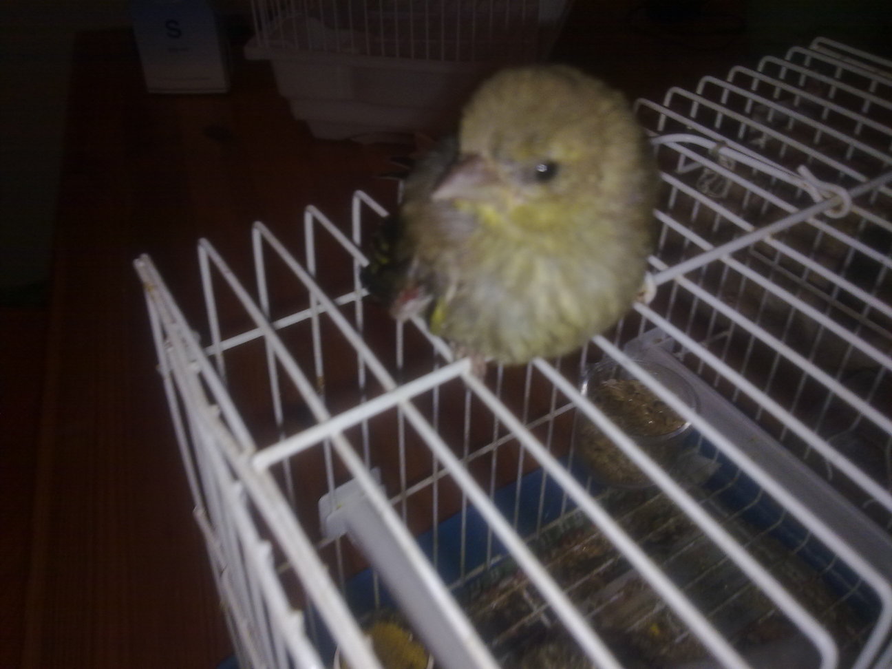 21052012241.jpg