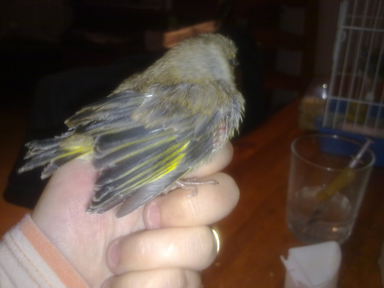 21052012239.jpg