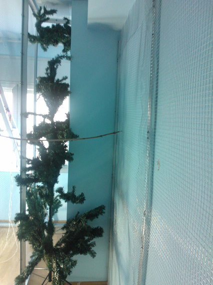 WP_4000063.jpg