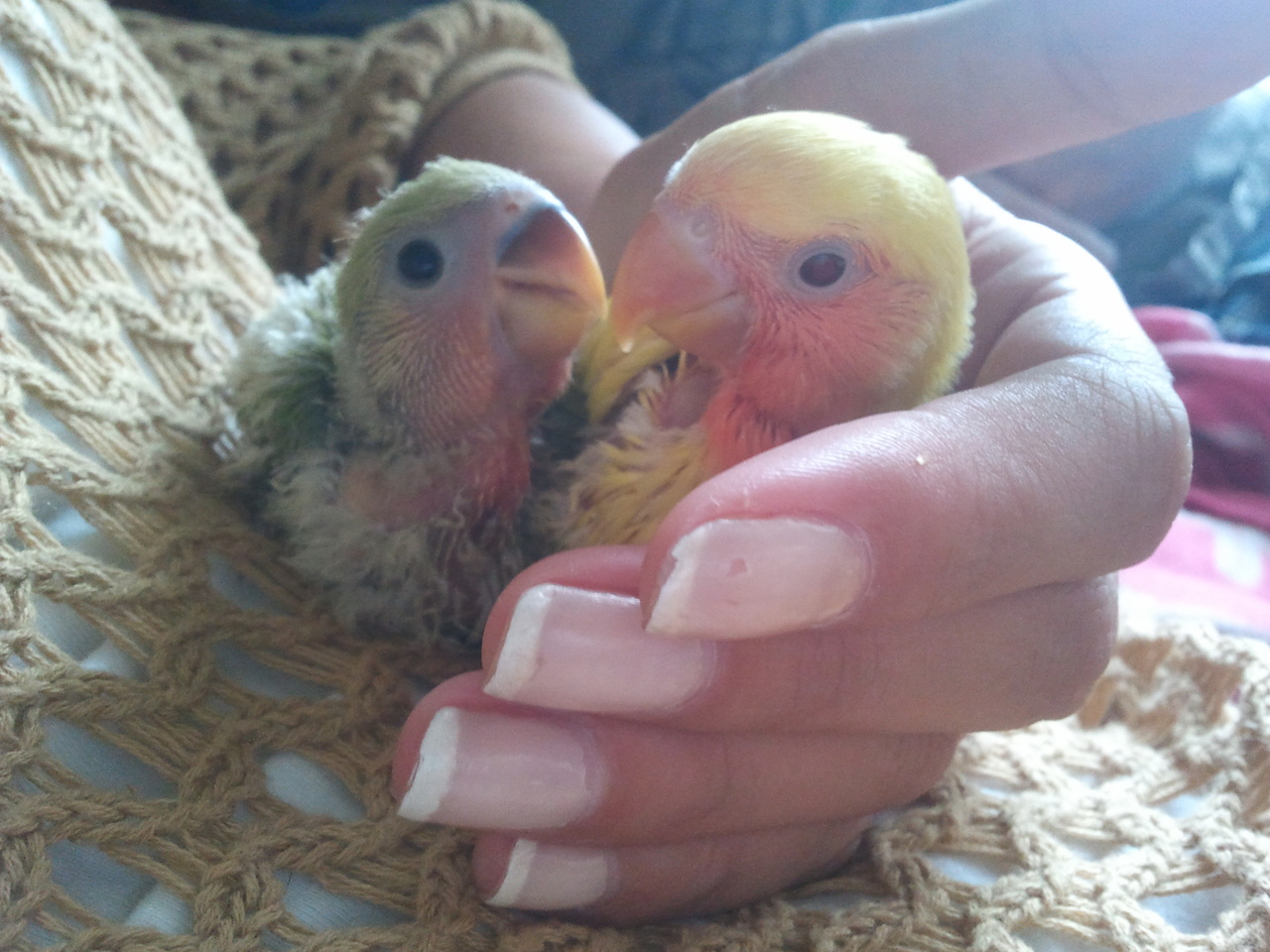 2012-05-22 13.43.05.jpg