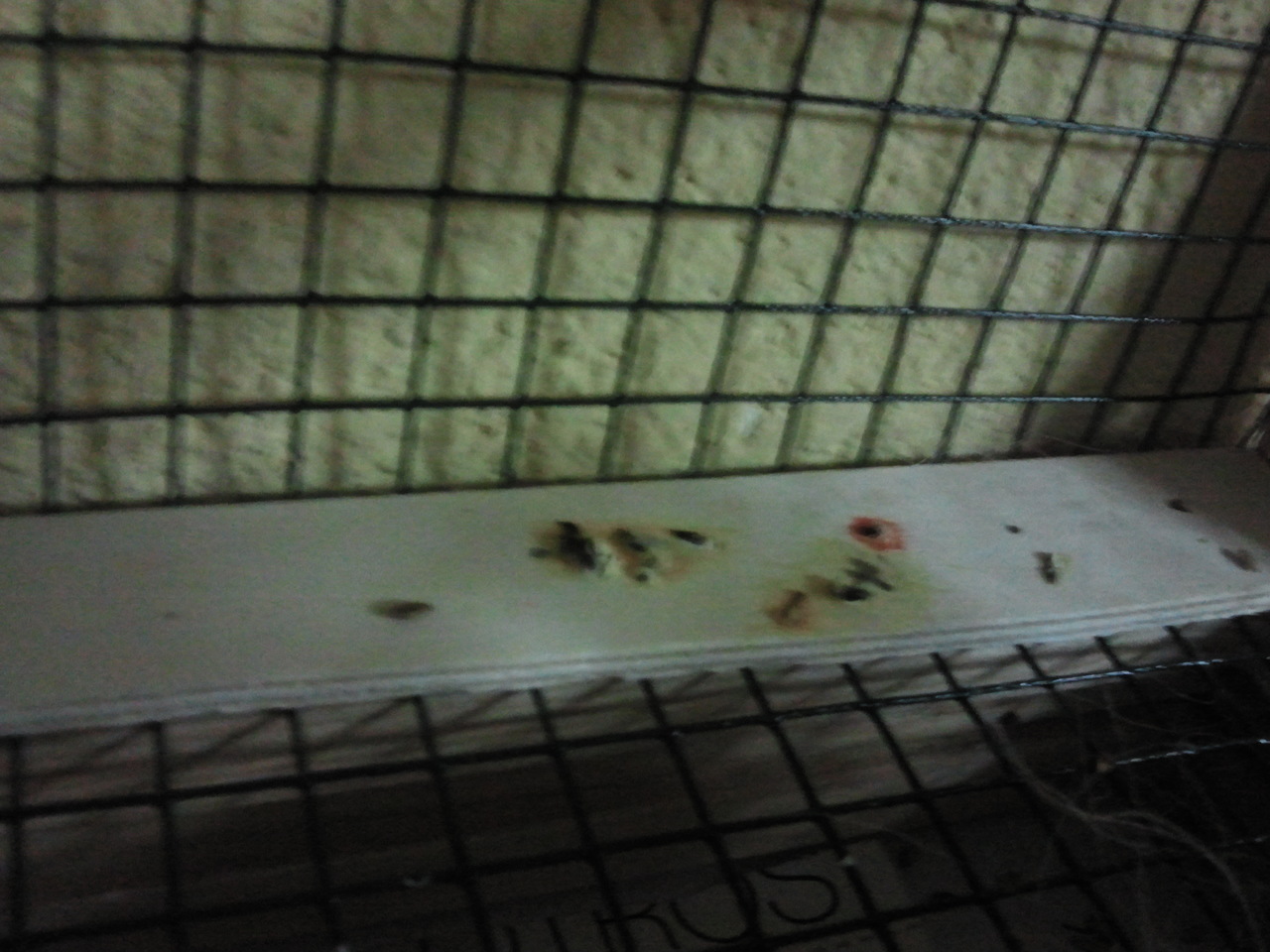 2012-05-25 16.05.36.jpg