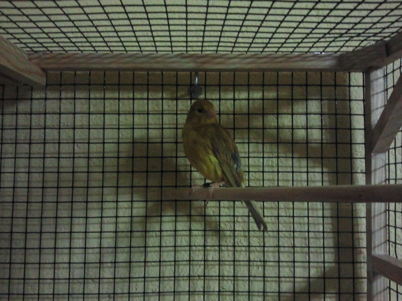 2012-05-25 16.05.17.jpg