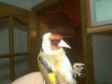 rps20120527_003522.jpg