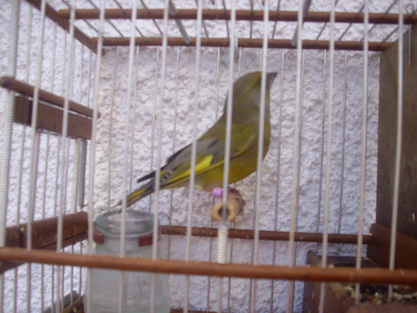 IMG_0341.JPG