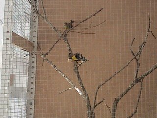 DSC_0244-1.jpg