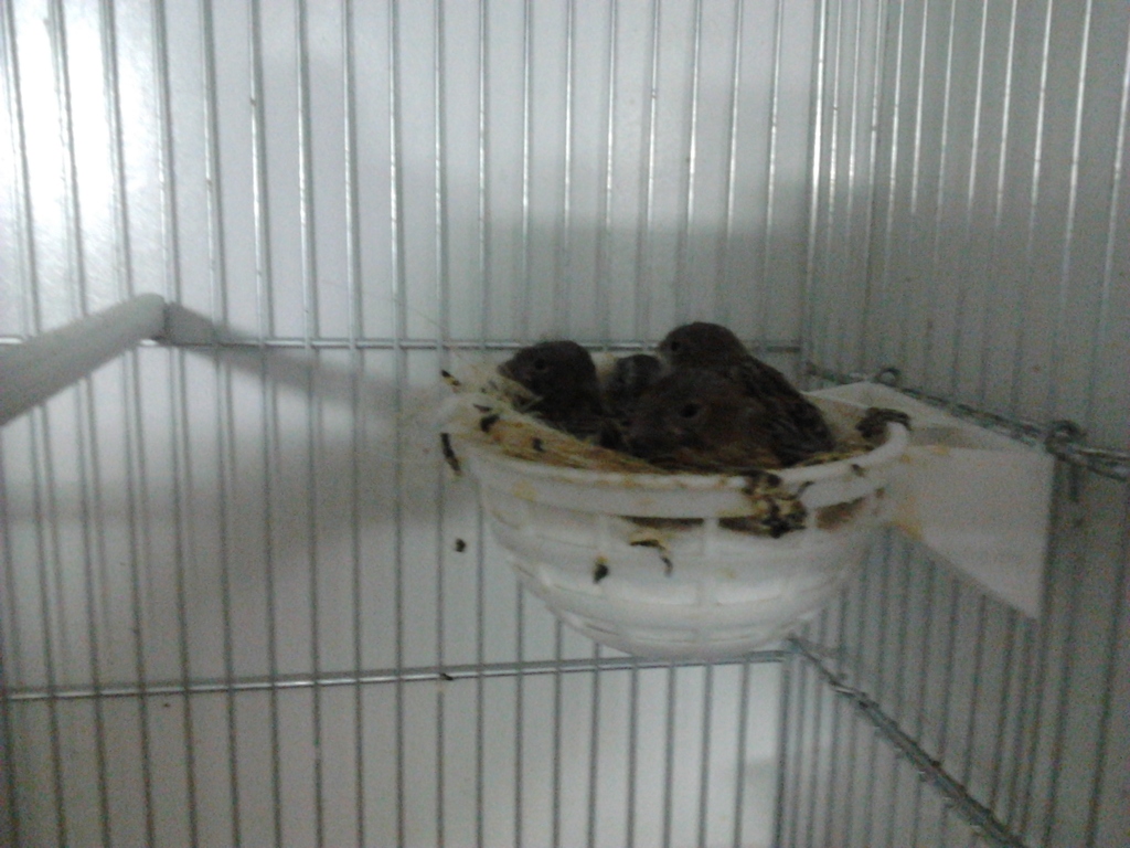 2012-03-14 22.25.34.jpg