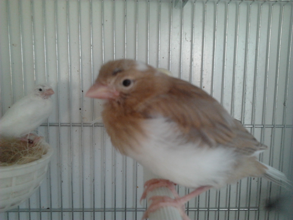 2012-04-24 19.46.05.jpg