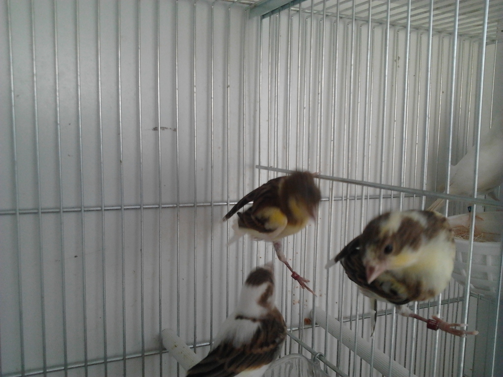 2012-04-24 19.46.26.jpg