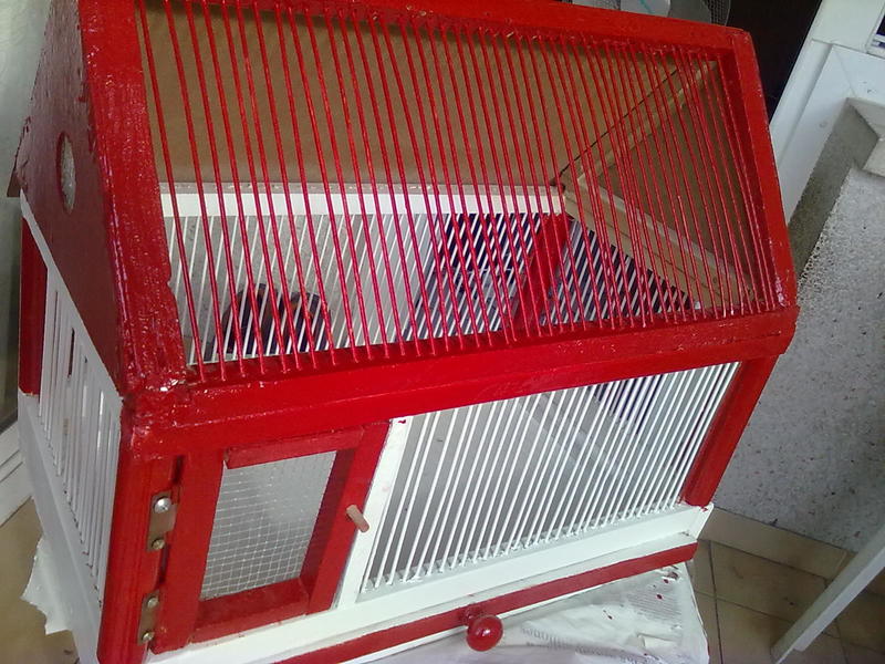 13082010535.jpg